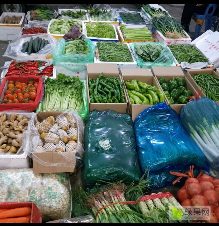探访汕头农副产品批发市场升裕蔬菜批发行 白菜与甘蓝的新鲜密码