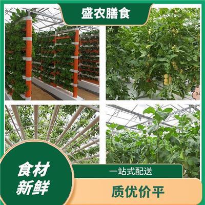 樟木头蔬菜配送相关产品推荐